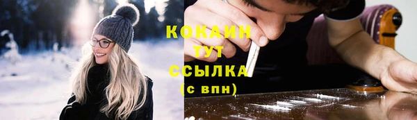 мдпв Гусь-Хрустальный