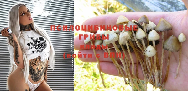 ALPHA PVP Дмитров