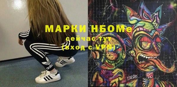 мдпв Гусь-Хрустальный