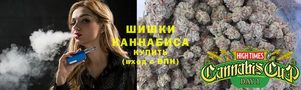 крисы Дмитриев