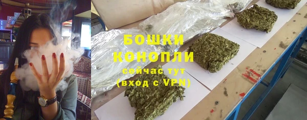 мдпв Гусь-Хрустальный