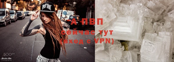 мдпв Гусь-Хрустальный
